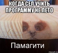 когда сел учить программу не лето 