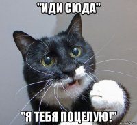"иди сюда" "я тебя поцелую!"