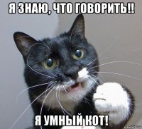 я знаю, что говорить!! я умный кот!