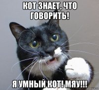 кот знает, что говорить! я умный кот! мяу!!!