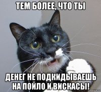 тем более, что ты денег не подкидываешь на пойло и вискасы!