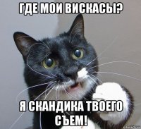 где мои вискасы? я скандика твоего съем!