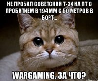 не пробил советский т-34 на пт с пробитием в 194 мм с 50 метров в борт... wargaming, за что?