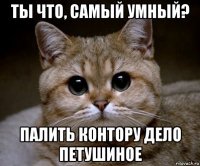 ты что, самый умный? палить контору дело петушиное