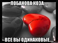 лобанова коза.... все вы одинаковые....