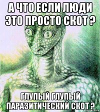 а что если люди это просто скот ? глупый глупый паразитический скот ?