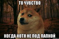 то чувство когда котя не под лапкой