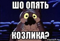 шо опять козлика?