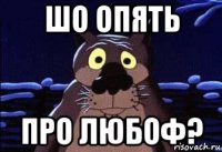 шо опять про любоф?