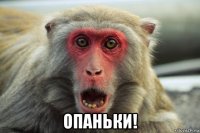  опаньки!