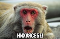  нихуясебе!
