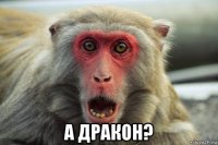  а дракон?