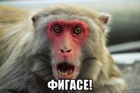  фигасе!