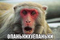 опанькихуёпаньки