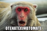  отенатехуйвтомате