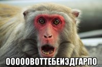  ооооовоттебеиэдгарпо