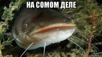 на сомом деле 
