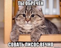 ты обречен совать писос вечно