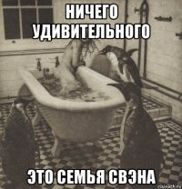 ничего удивительного это семья свэна