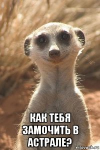 как тебя замочить в астрале?