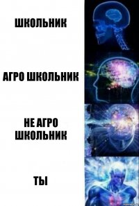 школьник агро школьник не агро школьник ты