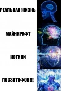 Реальная жизнь Майнкрафт Котики ПОЗЗИТИФОН!!!