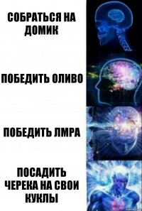 Собраться на домик Победить Оливо Победить ЛМРа Посадить Черека на свои куклы