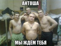 антоша мы ждём тебя