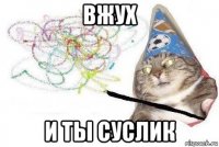 вжух и ты суслик