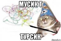 мусик т турсик