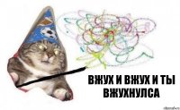 вжух и ВЖУХ И ТЫ ВЖУХНУЛСА