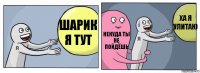 шарик я тут некуда ты не пойдёшь ха я улитаю