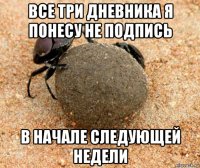 все три дневника я понесу не подпись в начале следующей недели