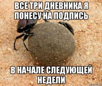все три дневника я понесу на подпись в начале следующей недели