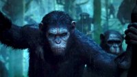 Создать мем Caesar the Monkey