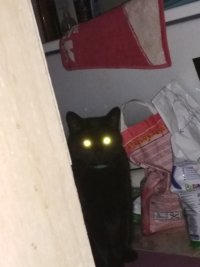 Создать мем ДРОУ