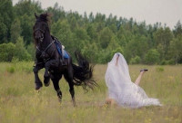 Создать мем Лошадь