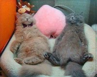 Создать мем Мем