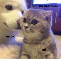 Создать мем Ой да