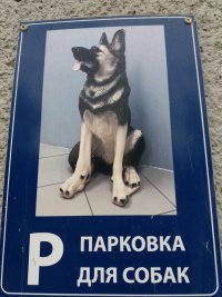 Создать мем Парковка для собак - От Сани