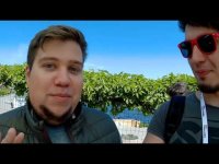 Создать мем TheBrainDit