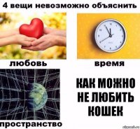 Как можно не любить кошек