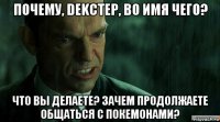 почему, dekctep, во имя чего? что вы делаете? зачем продолжаете общаться с покемонами?