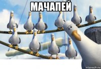 мачапей 