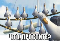  что, простите?