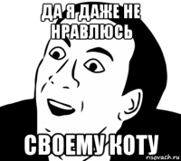 да я даже не нравлюсь своему коту