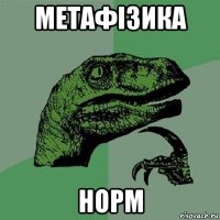 метафізика норм