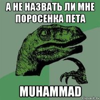 а не назвать ли мне поросенка пета muhammad