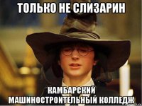 только не слизарин камбарский машиностроительный колледж