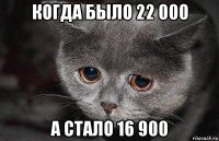 когда было 22 000 а стало 16 900